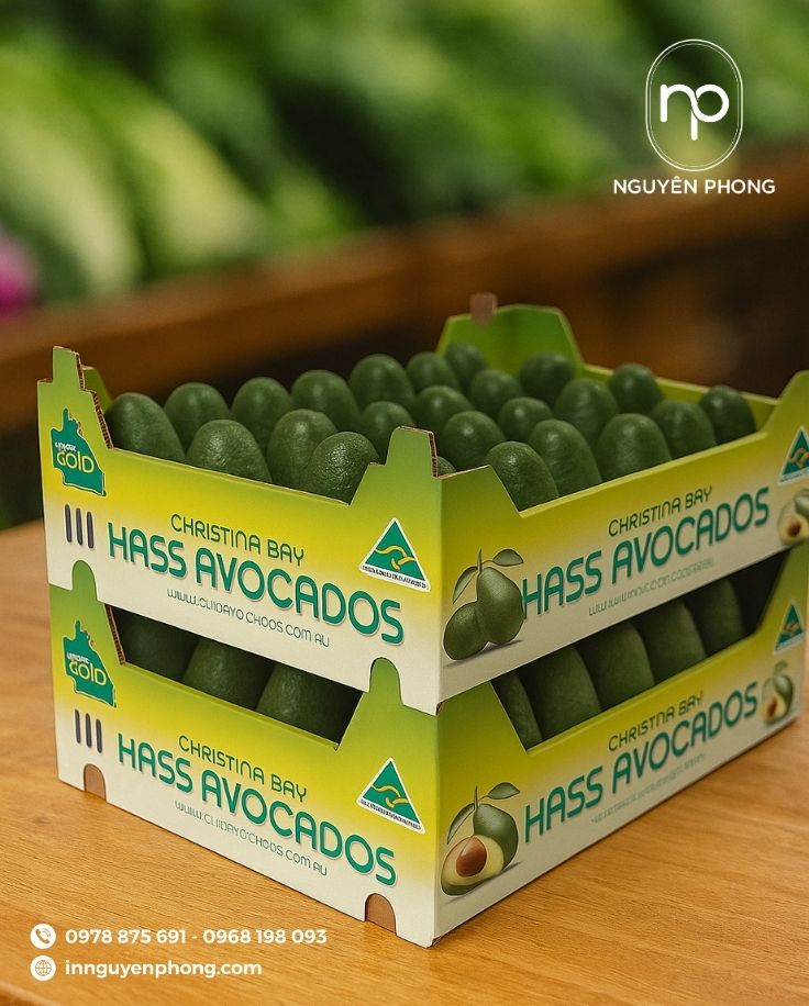 Mẫu thùng carton đựng bơ đẹp